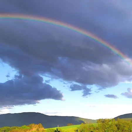 In Medenscheid Mit Garten Und Terrasse By Interhome Appartement Bacharach